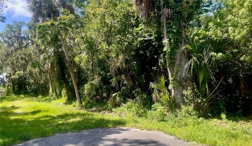 WEST SIDE OF PALMETTO STREET LOTS 420-422-424-426 & 428 PALMETTO STREET