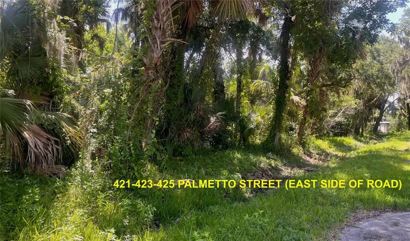 LOTS 421-423-425 PALMETTO STREET