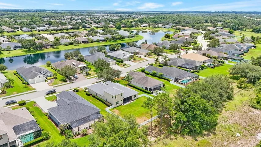 Neighborhood View