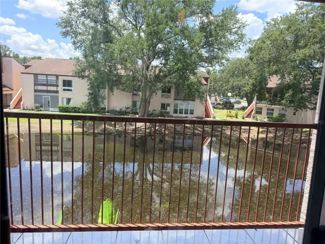 Pond View