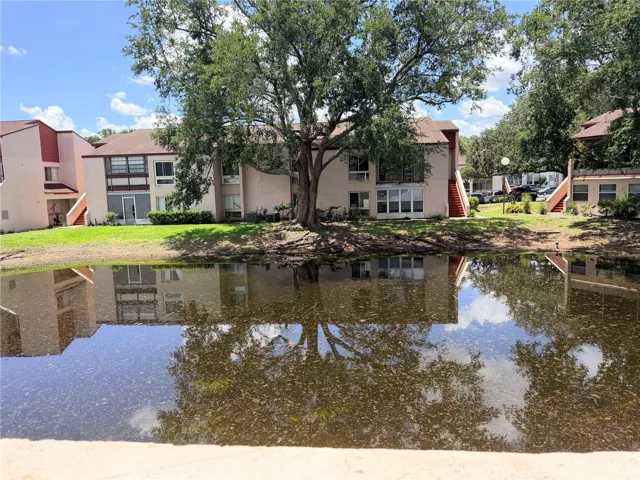 Pond view