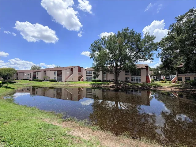 Pond view