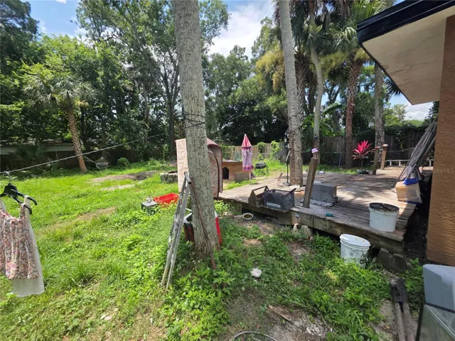 Backyard