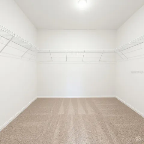 Primary walk in closet - example