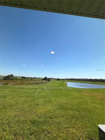 Backyard View