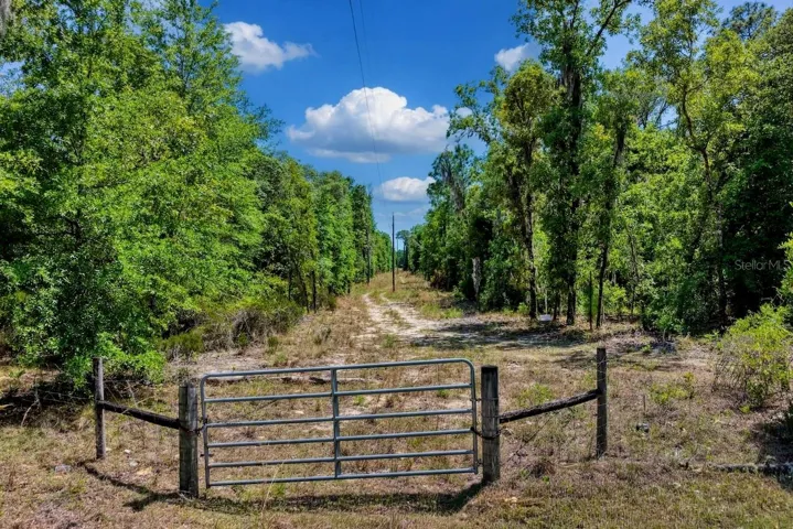 North entrance NE 75th St