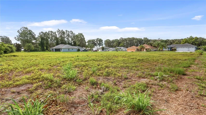 12045 Eagle Point Ct. Leesburg 34788 Vacant Residential Waterfront canal lot off of Lake Eustis FOR SALE