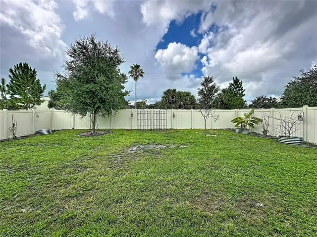 Backyard