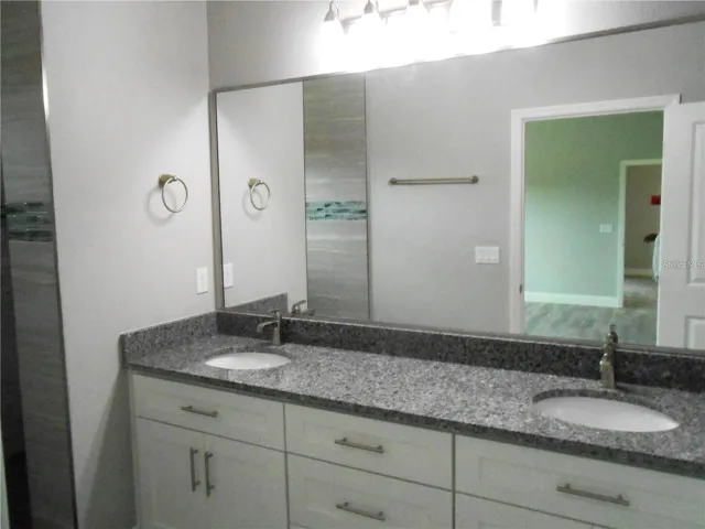 Master Bathroom Vanity