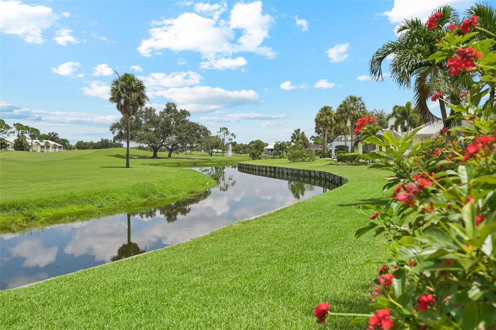Watch the Florida wildlife from right outside your door.