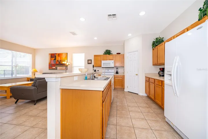 Kitchen Area 1