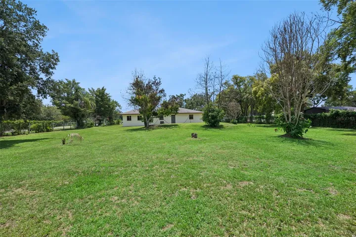 Oversized Lot with mango and avocado fruit trees