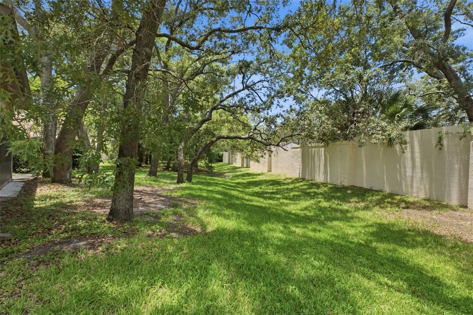 Rear yard with privacy wall.