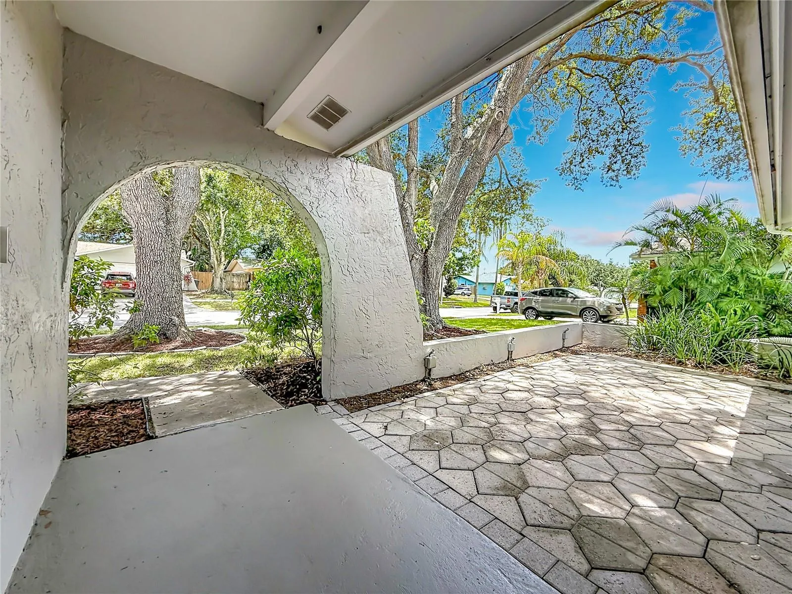 Front Patio and Serene Tree Canopy