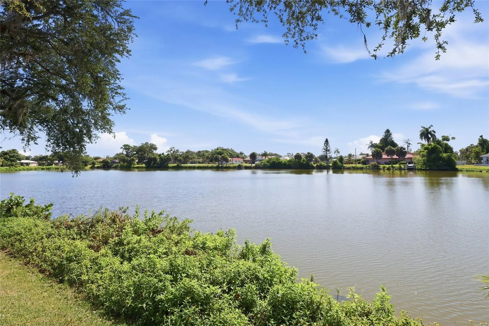 A pond in the neighborhood attracts wildlife and provides a beautiful place to walk.