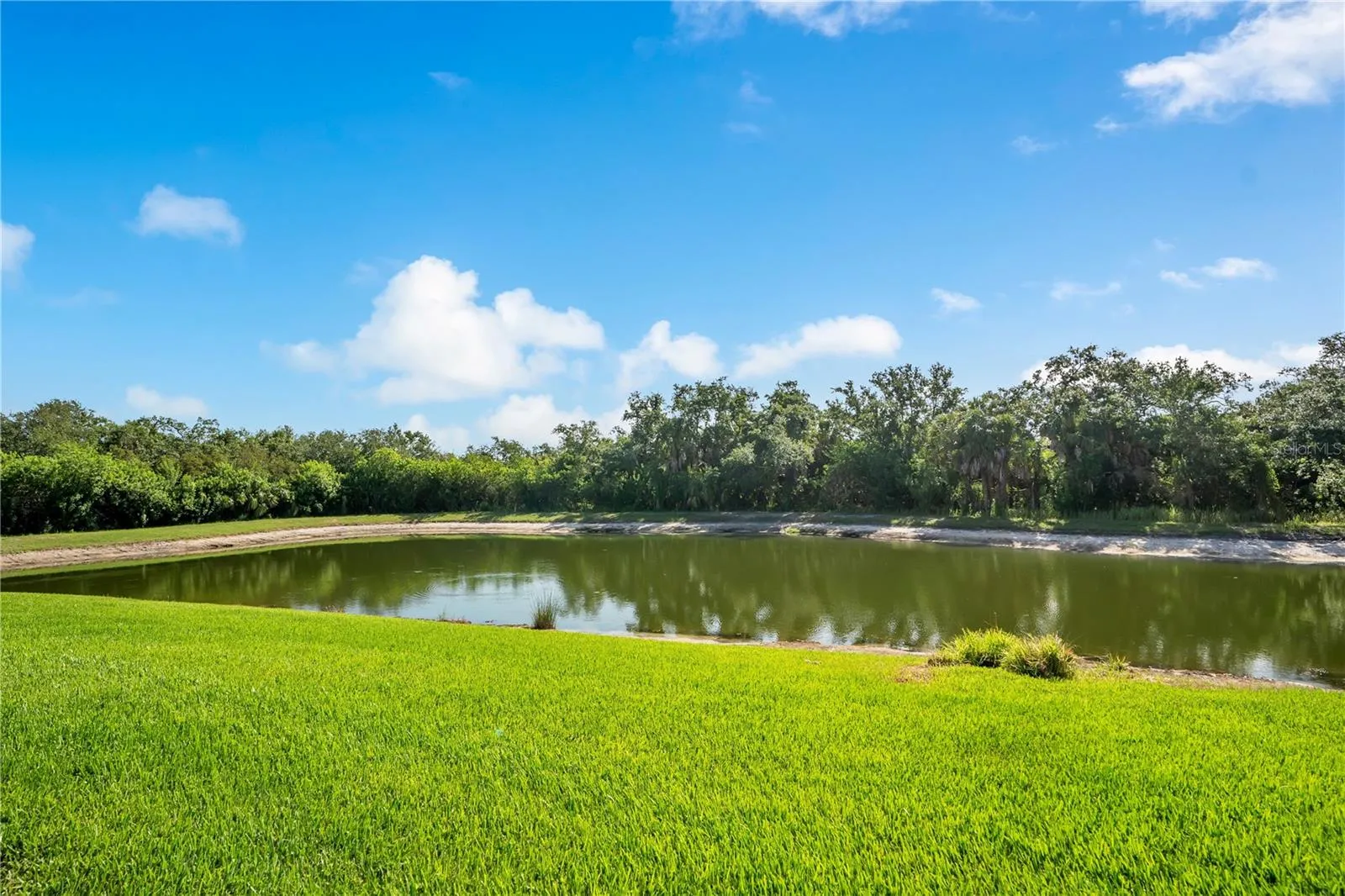 Pond behind the unit