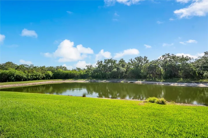 Pond behind the unit