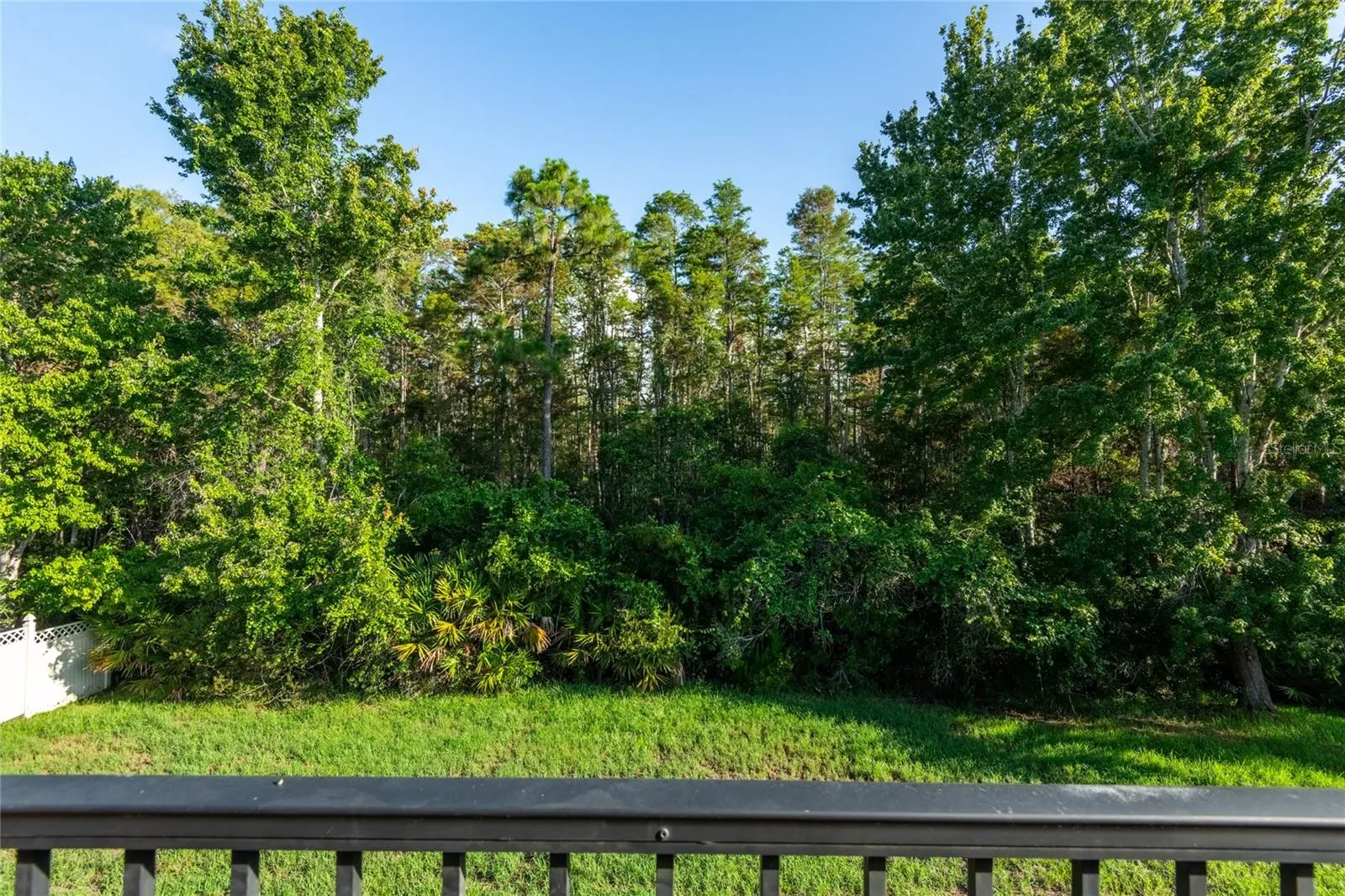 conservation view off of upstairs balcony