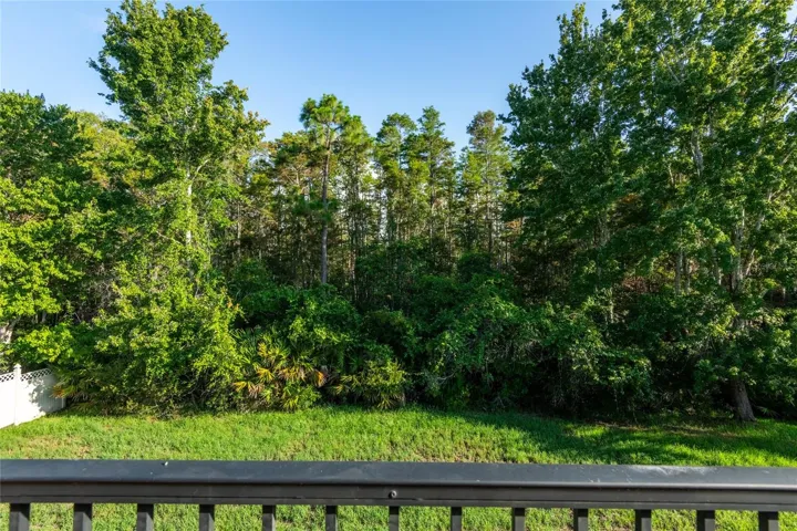 conservation view off of upstairs balcony