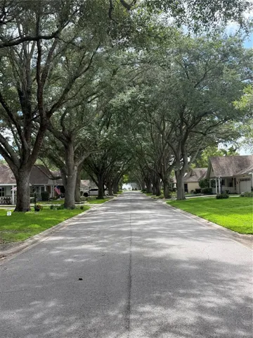 Shady street