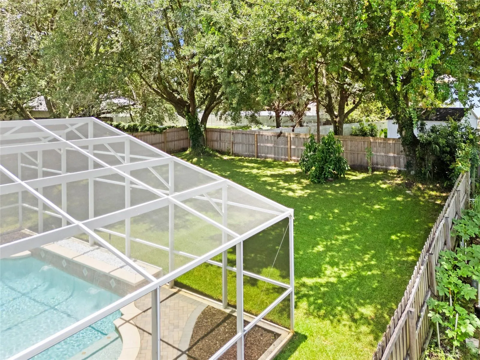Aerial Backyard
