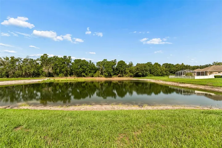 pond/conservation view