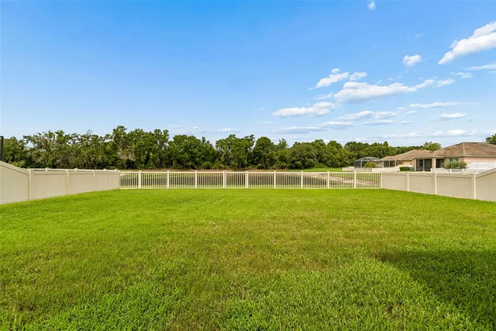 large backyard