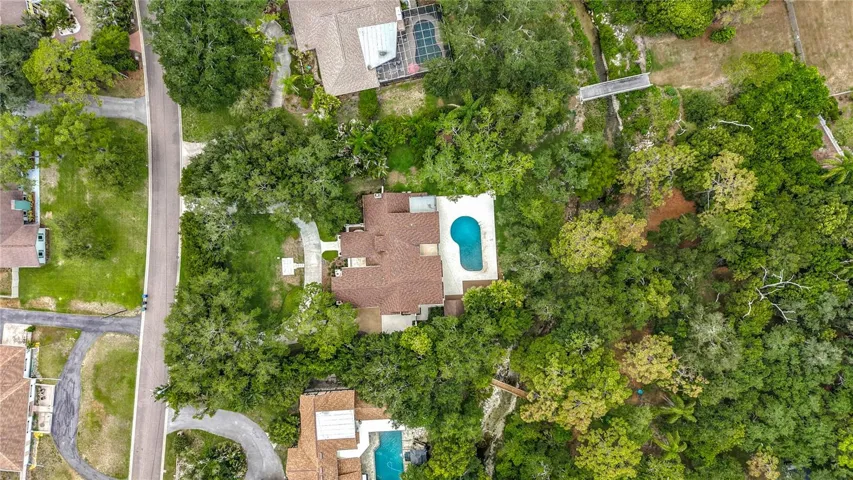 1850 Oak Creek Dr -Dunedin Estate