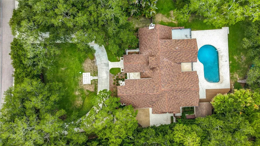 Bird's Eye