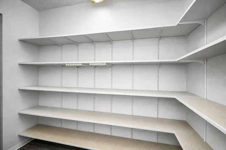 Large Pantry (Virtually Staged)