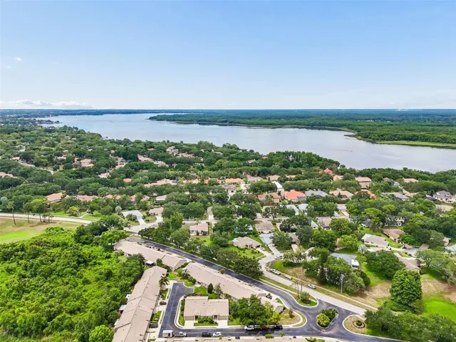 Aerial with home and Lake Tarpon down the road
