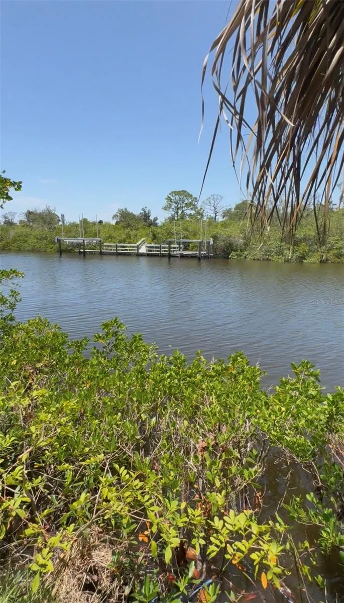Ground-level view from the Alligator Creek water-access parcel