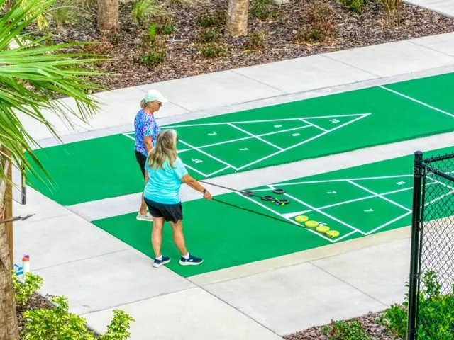 SHUFFLEBOARD