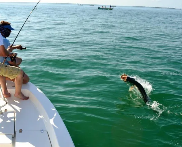 Great Fishing