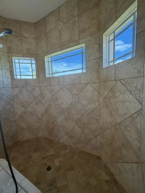 3 Windows in Walk Through Shower