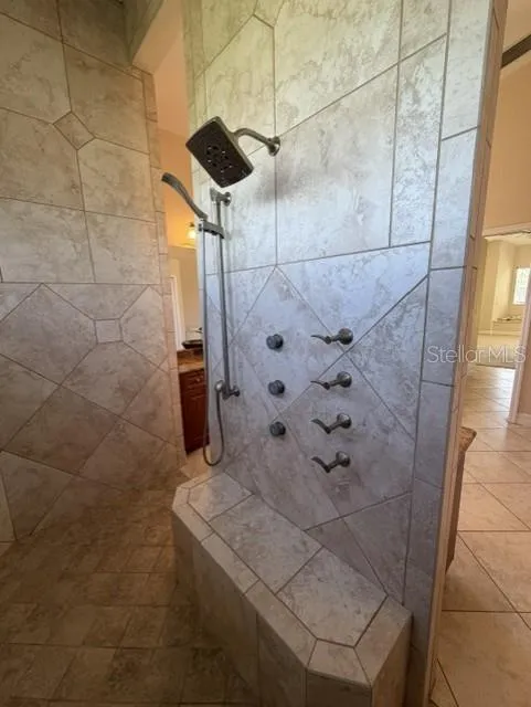 Body Sprayers, Additional Shower Head and Hand Held Shower Head