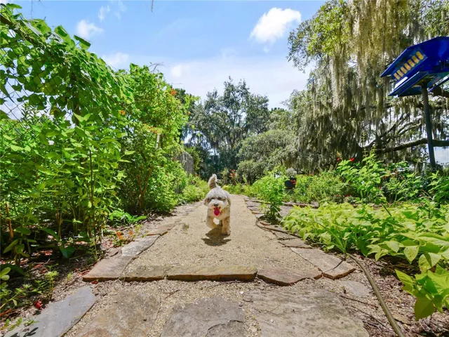 A LITTLE FRIEND NOT INCLUDED WITH THE SALE OF HOME
