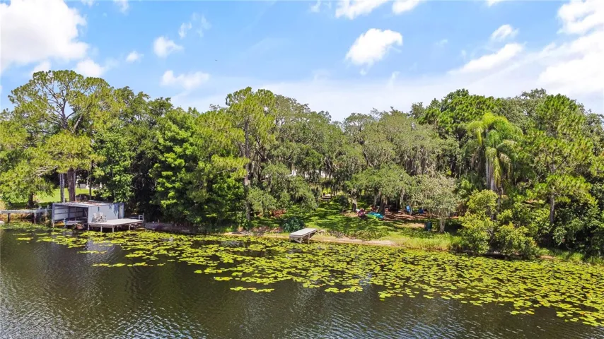 BACKYARD / LAKE