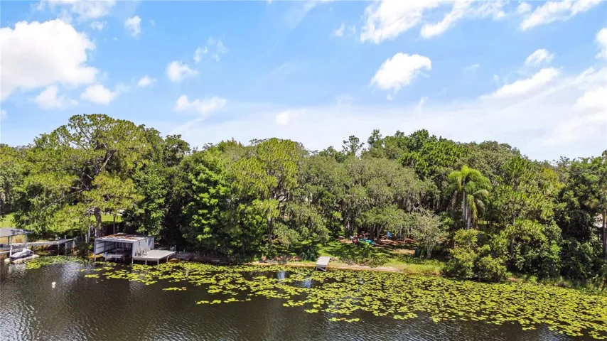BACKYARD / LAKE