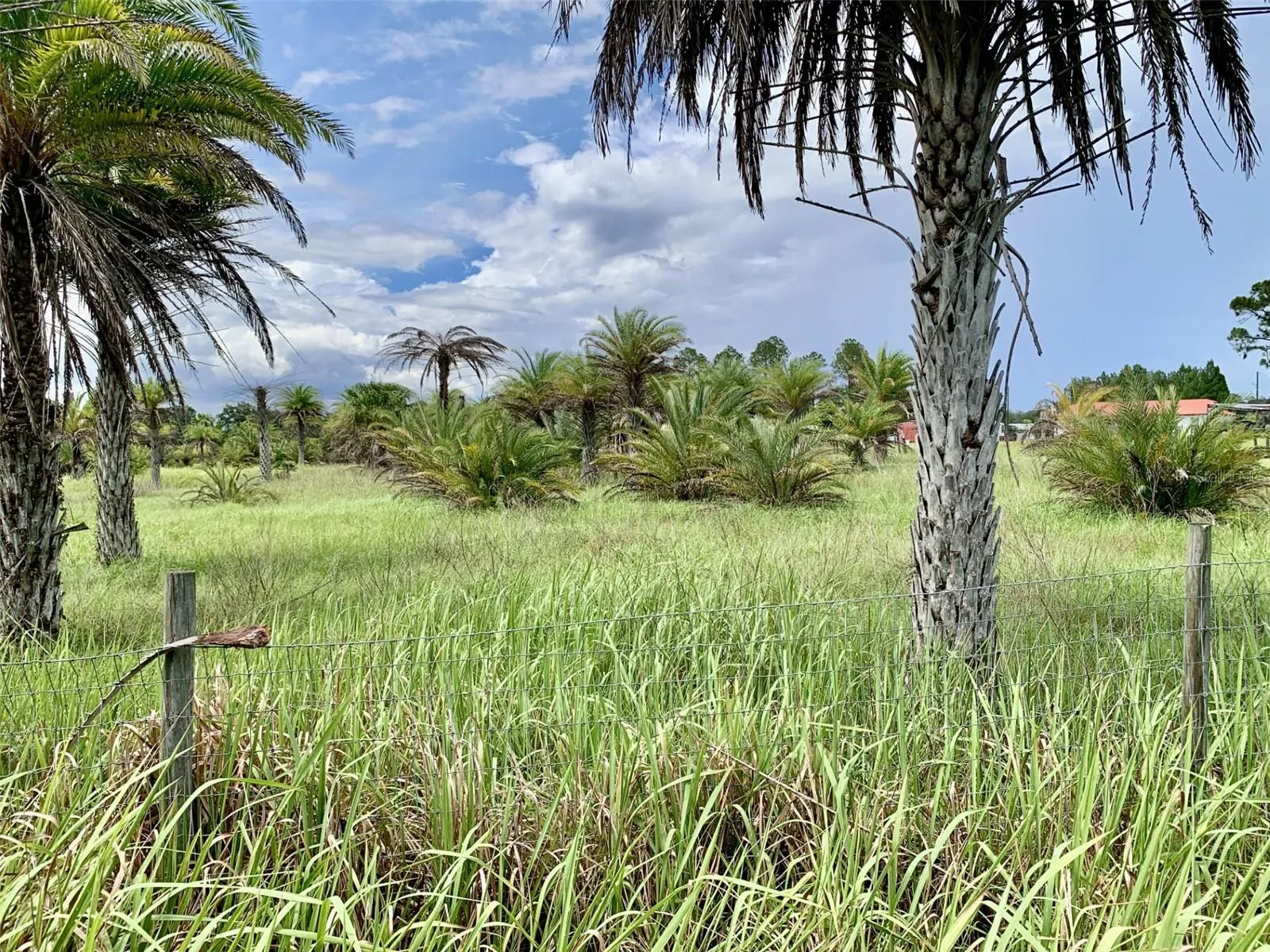 3.92 acres off Dan Brown Hill Rd