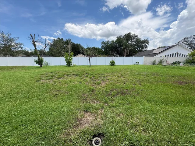 Back yard