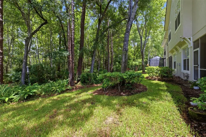 Backyard View
