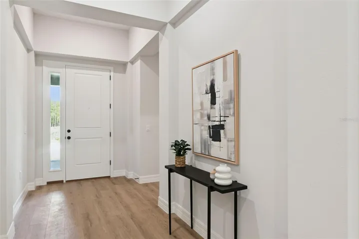 Foyer tray ceiling (staged furniture)