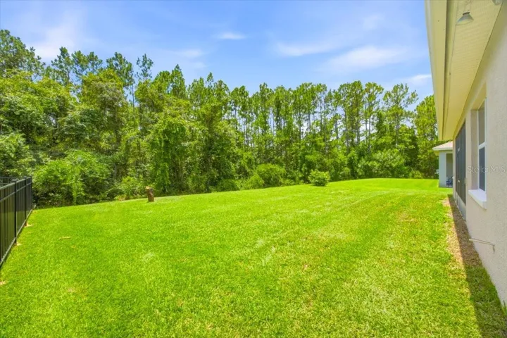 Back and Side Yard
