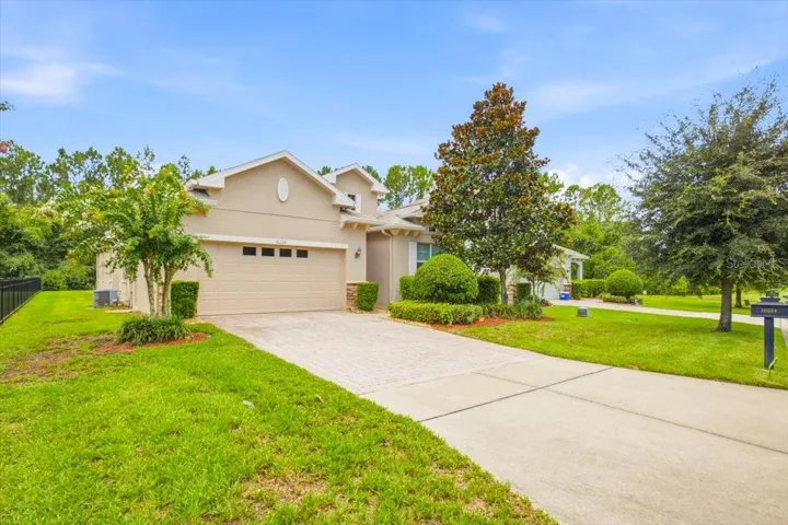 Front Yard