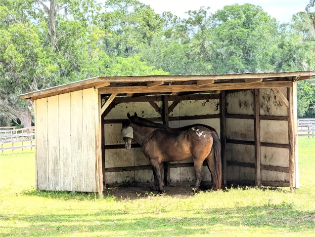 Run-in shed