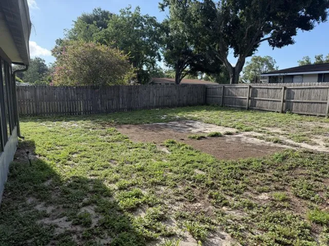 Backyard