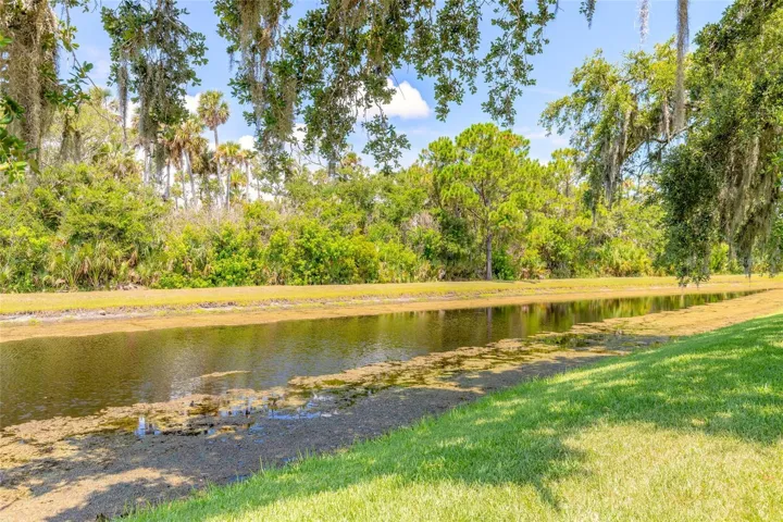 Pond View