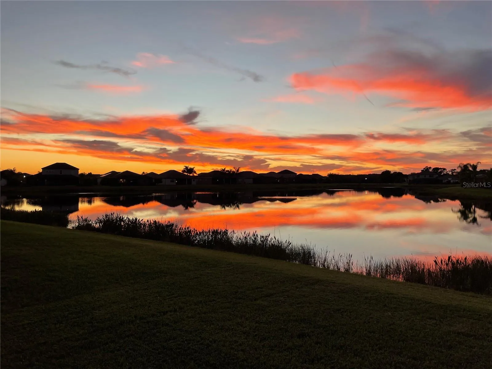 The sunset color palettes are always uniquely inspiring! Right from your home.