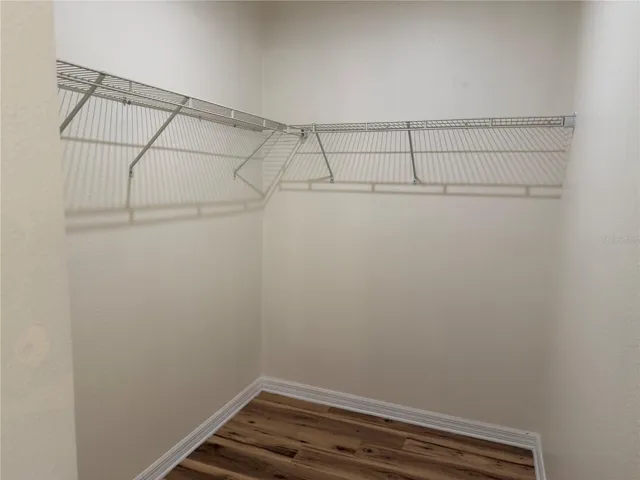 WLAK IN CLOSET